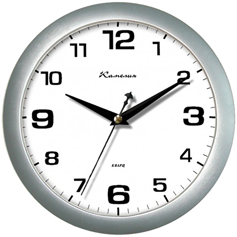 Часы настенные КАМЕЛИЯ круглые, 29х29х3.5см, пластик, плавный ход, циферблат белый, рамка серебристая