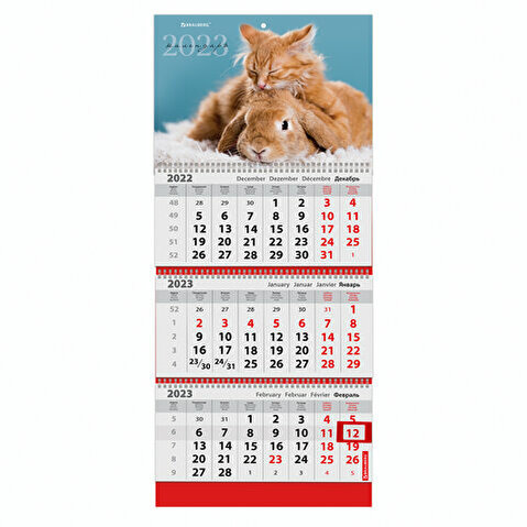 Календарь настенный квартальный BRAUBERG, 2023г, 3-блочный, на 3 спиралях, с бегунком, 295х800мм, Символ года