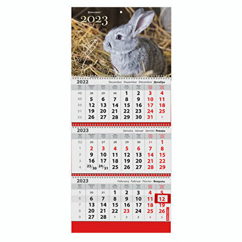 Календарь настенный квартальный BRAUBERG, 2023г, 3-блочный, на 3 спиралях, с бегунком, 295х800мм, FUNNY BUNNY